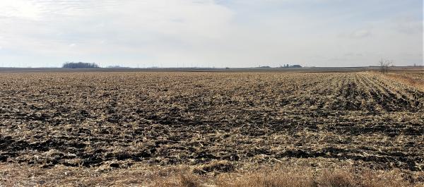 "SOLD" JUST LISTED FOR SALE - 151.99 Acres Iona Township, Murray County, Minnesota