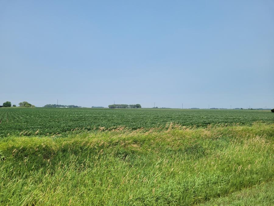 Dan Pike Auction Company & Land and Farm Services Unlimited