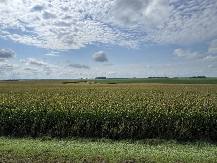 Bernard & Mary Just 148.9+/- acres bare farmland LaCrosse Township    Jackson County, Minnesota